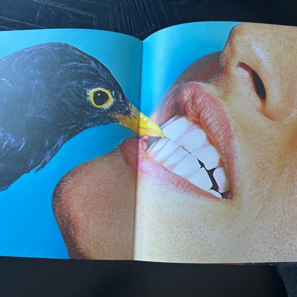 Toiletpaper Magazine September 1971 Edition - Picture 6 of 7